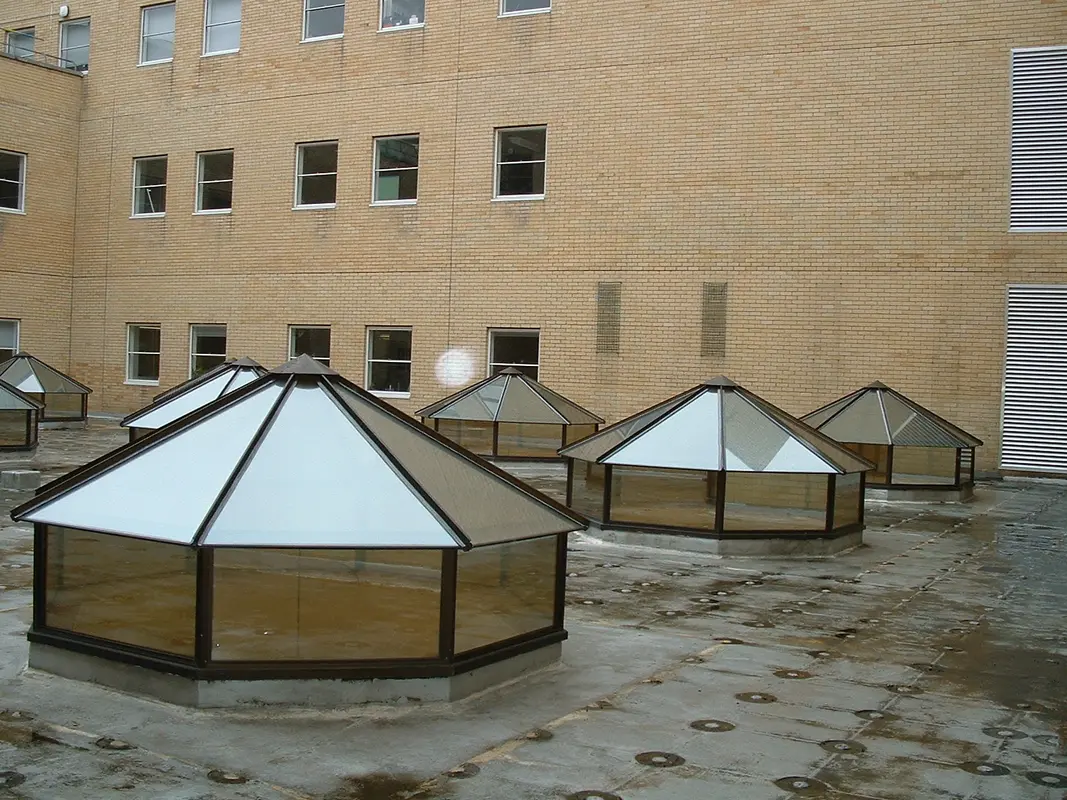 Flat Roof Skylights Camden Town